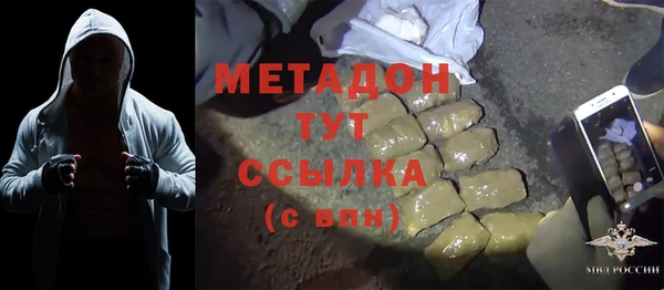 прущие грибы Тольятти