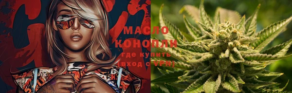 прущие грибы Приозерск