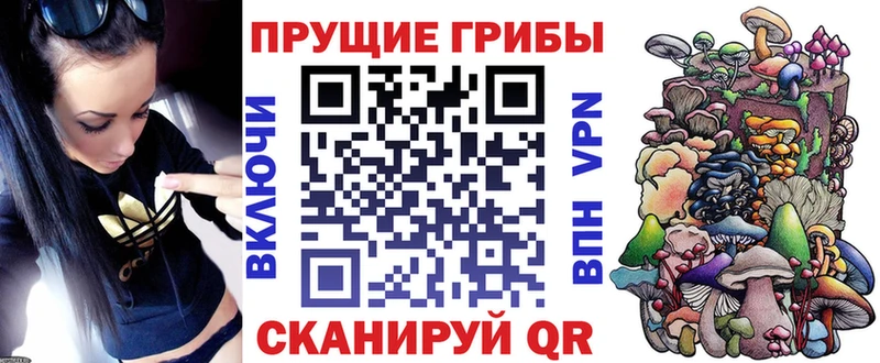 Галлюциногенные грибы Psilocybine cubensis  Белоусово 